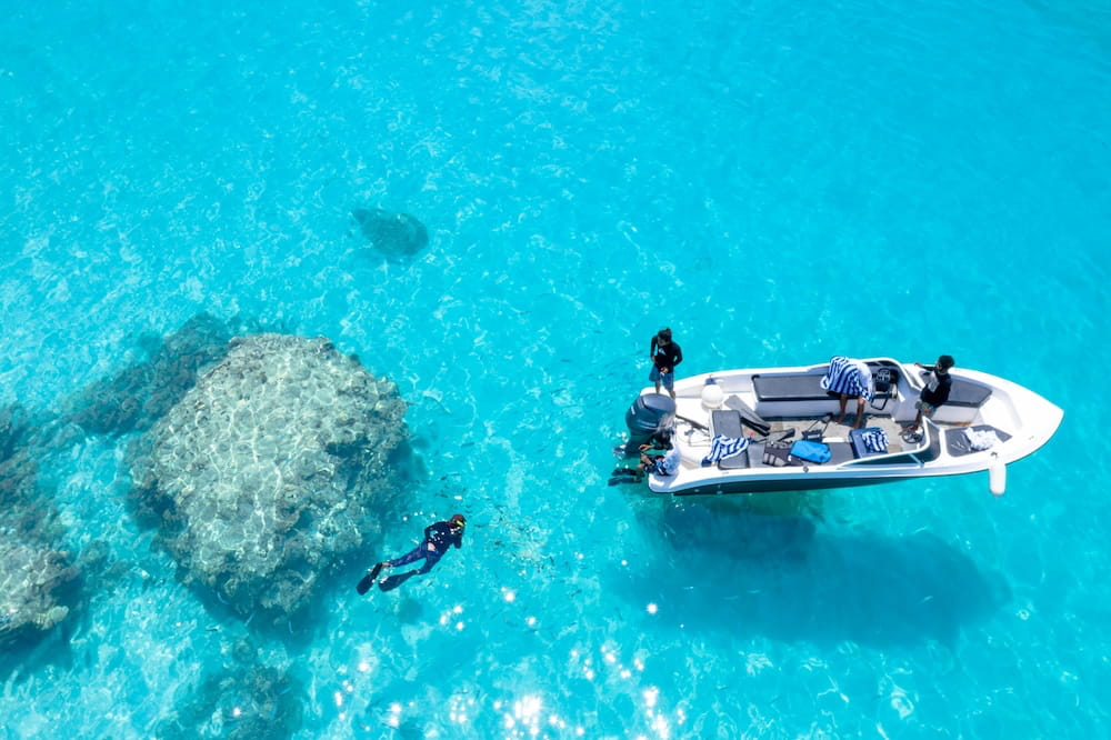 Rhodes Marine Life